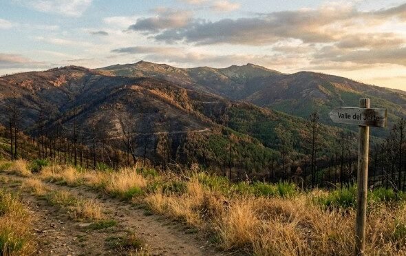 Vista panorámica al atardecer de un paisaje montañoso en Extremadura, mostrando laderas afectadas por incendios forestales con árboles calcinados y terreno oscuro que contrastan con zonas de vegetación verde, con un sendero rural en primer plano y una señal de madera que indica "Valle del Jerte"