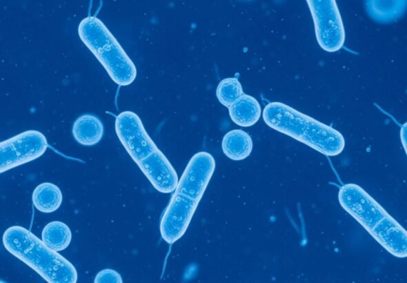 Representación conceptual de bacterias resistentes a los antibióticos en un laboratorio