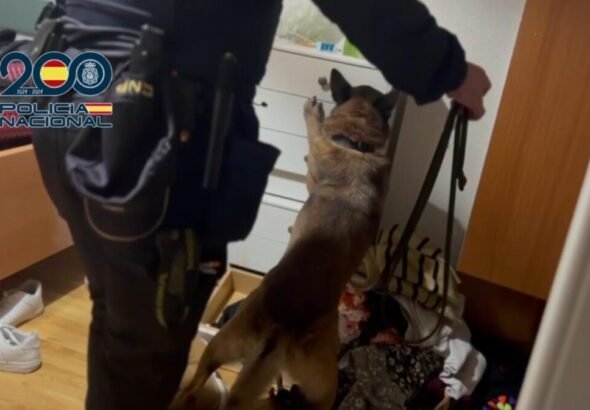 Imagen de una operación de Policía Nacional contra la explotación laboral.