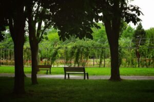 Escena que representa los elementos del caso donde se dictó la prisión permanente revisable al cuidador en Madrid.