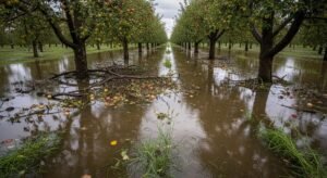 Recreación artística digital de una huerta inundada tras el paso de las borrascas Leonardo y Marta.
