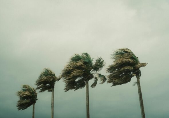 Fotografía de un paisaje urbano con árboles agitados por el viento fuerte bajo un cielo plomizo y nublado, estilo de noticia meteorológica, alta resolución.