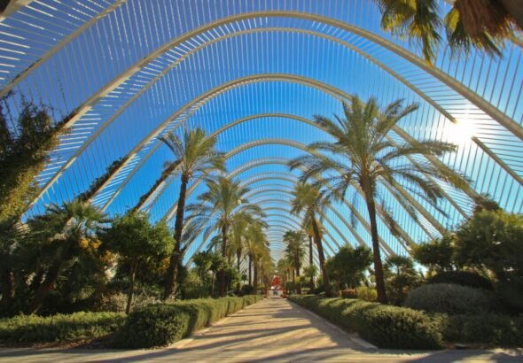 Imagen de una parte de la Ciudad de las Ciencias y las Artes de Valencia.