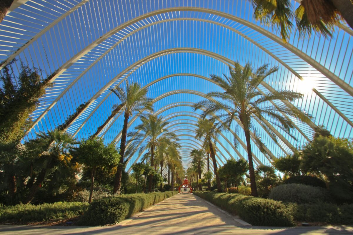 Imagen de una parte de la Ciudad de las Ciencias y las Artes de Valencia.