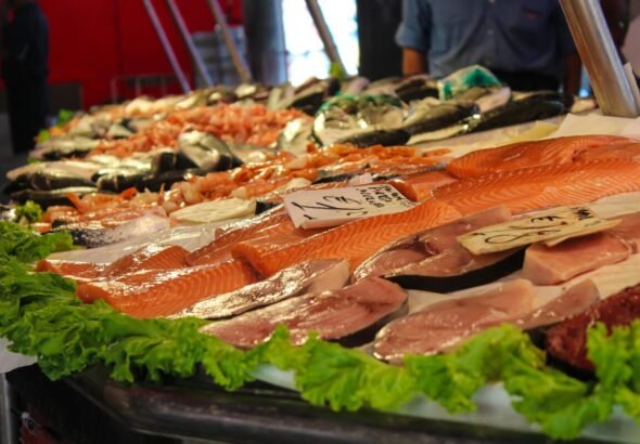 Pescado fresco expuesto en un mercado para ilustrar el estudio sobre mercurio.