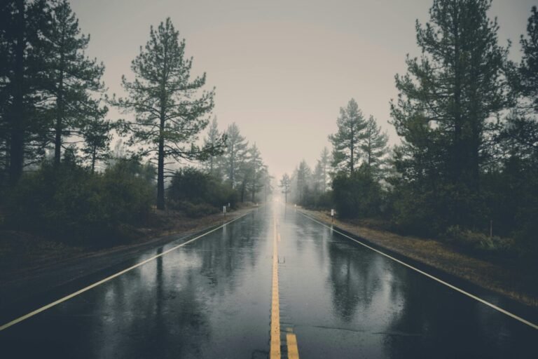 Paisaje matinal con presencia de niebla y lluvia.