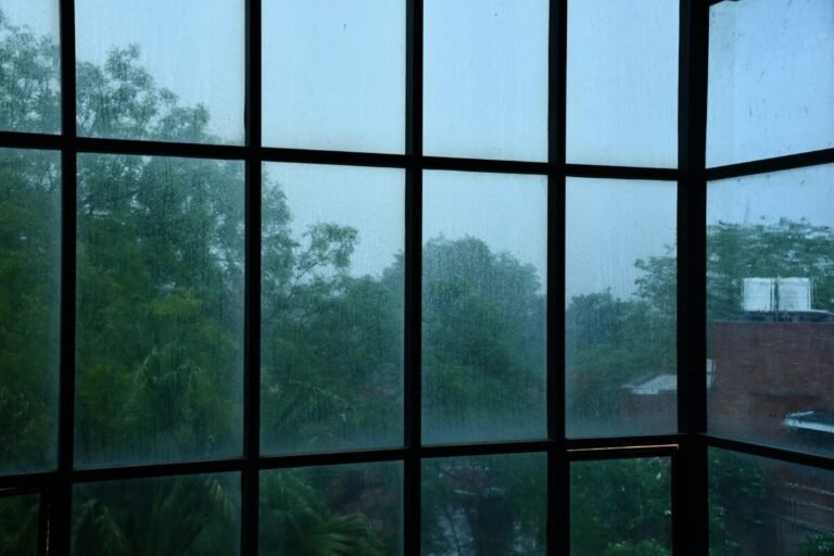 Vista desde la ventana de una vivienda de como llueve en el exterior..