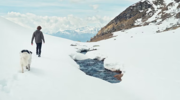 Paolo Cognetti en la montaña durante el documental Querida flor, rodeado de paisaje alpino en el Monte Rosa.