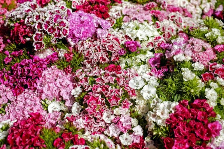 Flores de colores vibrantes y variadas sobre la ofrenda de las fallas 2026. Recreación digital artística.