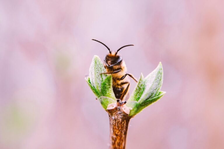 Abeja sobre una planta verde