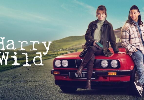 Cartel de la tercera temporada de la serie Harry Wild en Divinity.