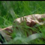 El cine europeo recibe a Tony Leung con el estreno de “El amigo silencioso” Una escena de la película El amigo silencioso, imagen propiedad de Pandora Film.