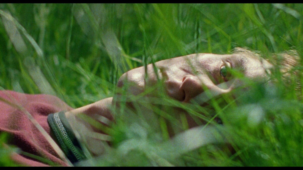 Una escena de la película El amigo silencioso, imagen propiedad de Pandora Film.