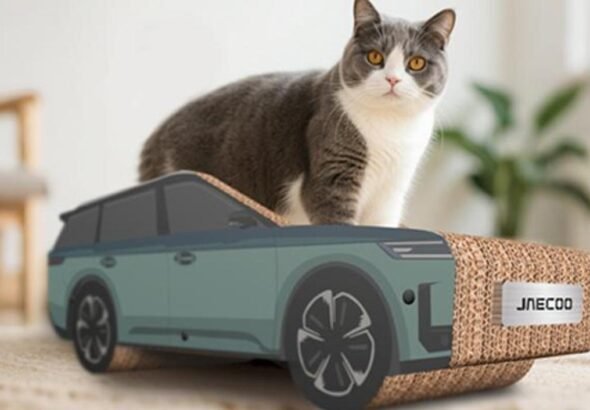 Imagen de un gato sobre un coche rascador del nuevo JAECOO 5