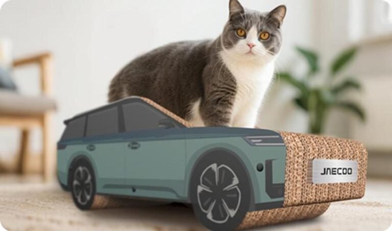 Imagen de un gato sobre un coche rascador del nuevo JAECOO 5