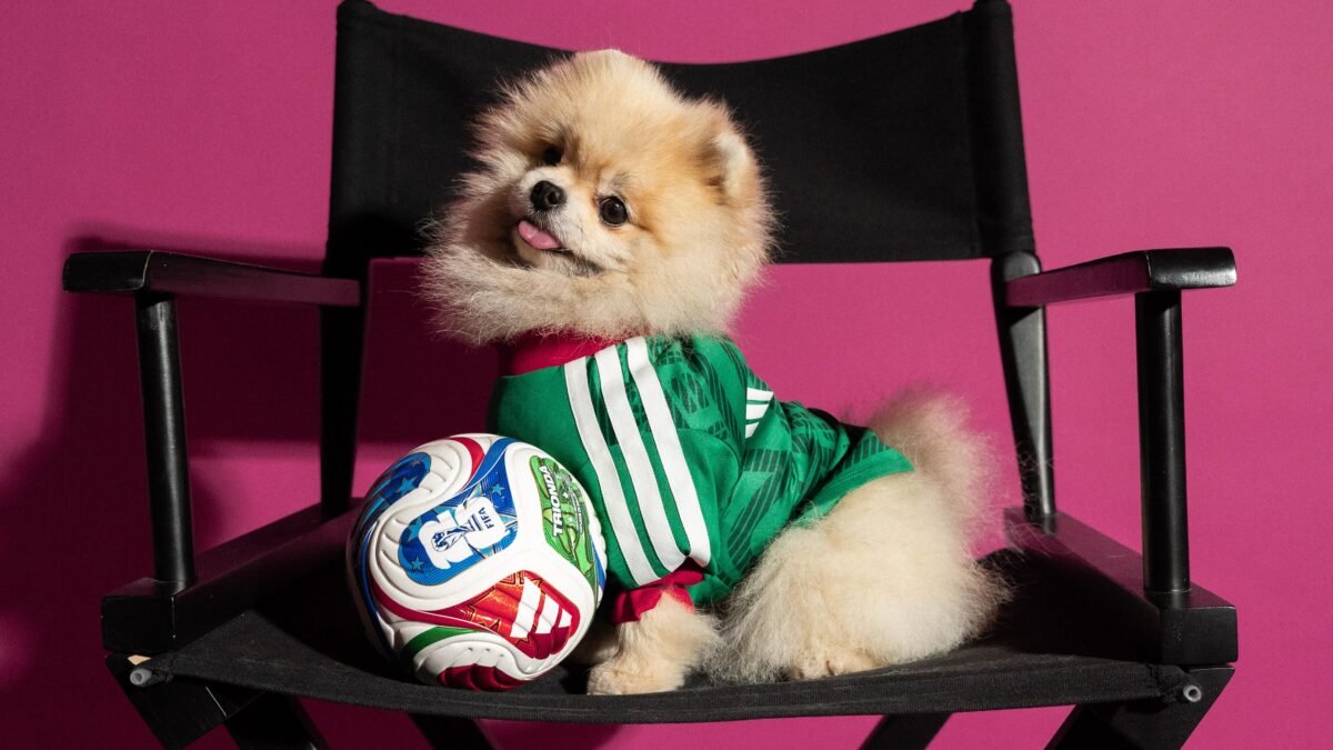 Imagen que muestra a una mascota con la nueva colección de adidas de camisetas locales para mascotas de la Copa Mundial