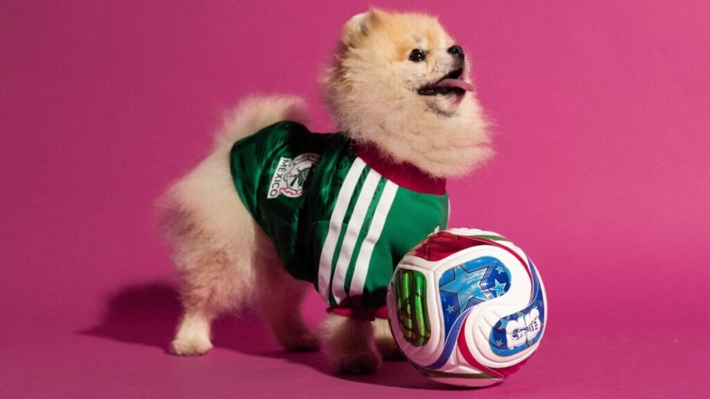 El estreno más inesperado de Adidas para 2026 Imagen que muestra a un perrito con la nueva camiseta de adidas para mascotas de la selección de Méjico