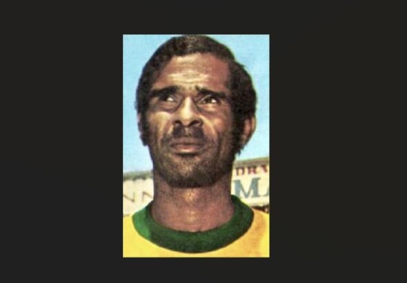 Imagen que muestra al jugador de Brasil Hércules Brito Ruas