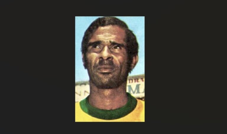 Imagen que muestra al jugador de Brasil Hércules Brito Ruas