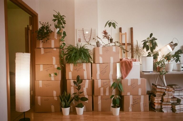 Imagen que muestra una entrada de una casa en mudanza después de conseguir la hipoteca del piso