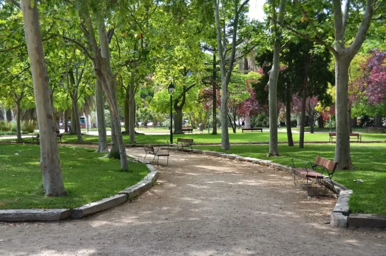 Imagen que muestra los jardines de Viveros en Valencia