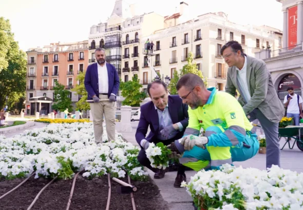 Imagen que muestra a Segura, Carabante y Páramo supervisando la plantación por la visita del Papa León XIV a Madrid