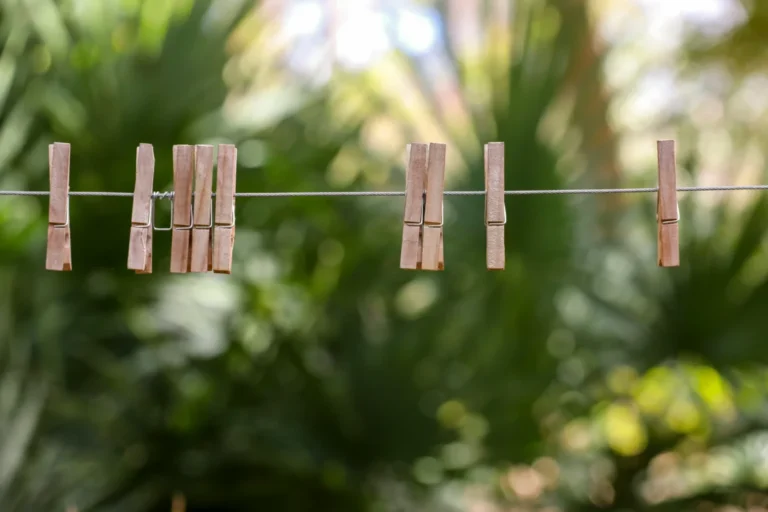 Imagen que muestra un tendedero de cuerda en un jardín con pinzas