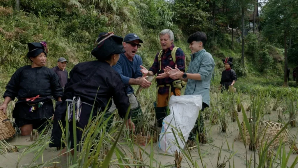 Jesús Calleja se lleva a Luis Zahera, María Pérez y Gorka Otxoa al corazón rural de China Imagen que muestra a los protagonistas de Universo Calleja en la china rural cogiendo arroz