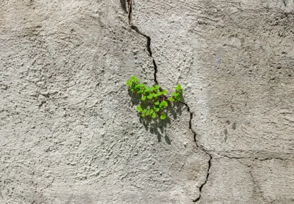 Imagen que muestra una grieta en una pared
