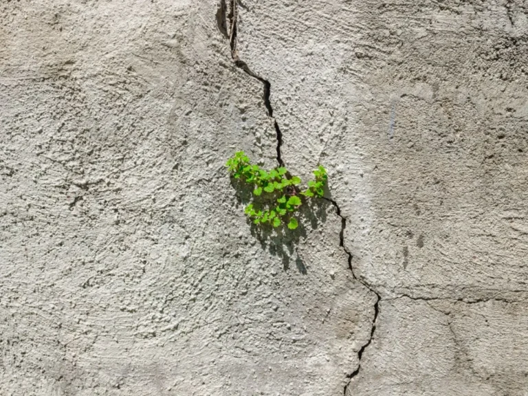 Imagen que muestra una grieta en una pared