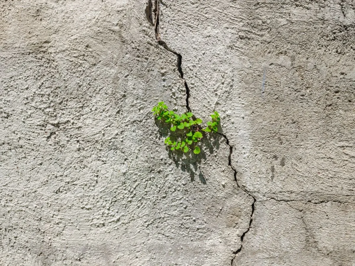Imagen que muestra una grieta en una pared