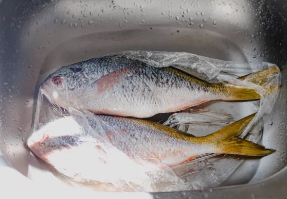 Imagen que muestra pescado envasado en plástico contaminante con BFA.