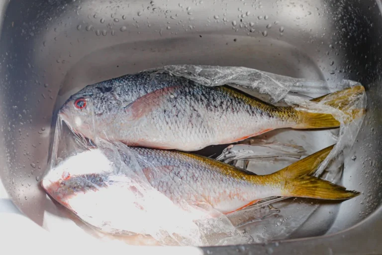Imagen que muestra pescado envasado en plástico contaminante con BFA.