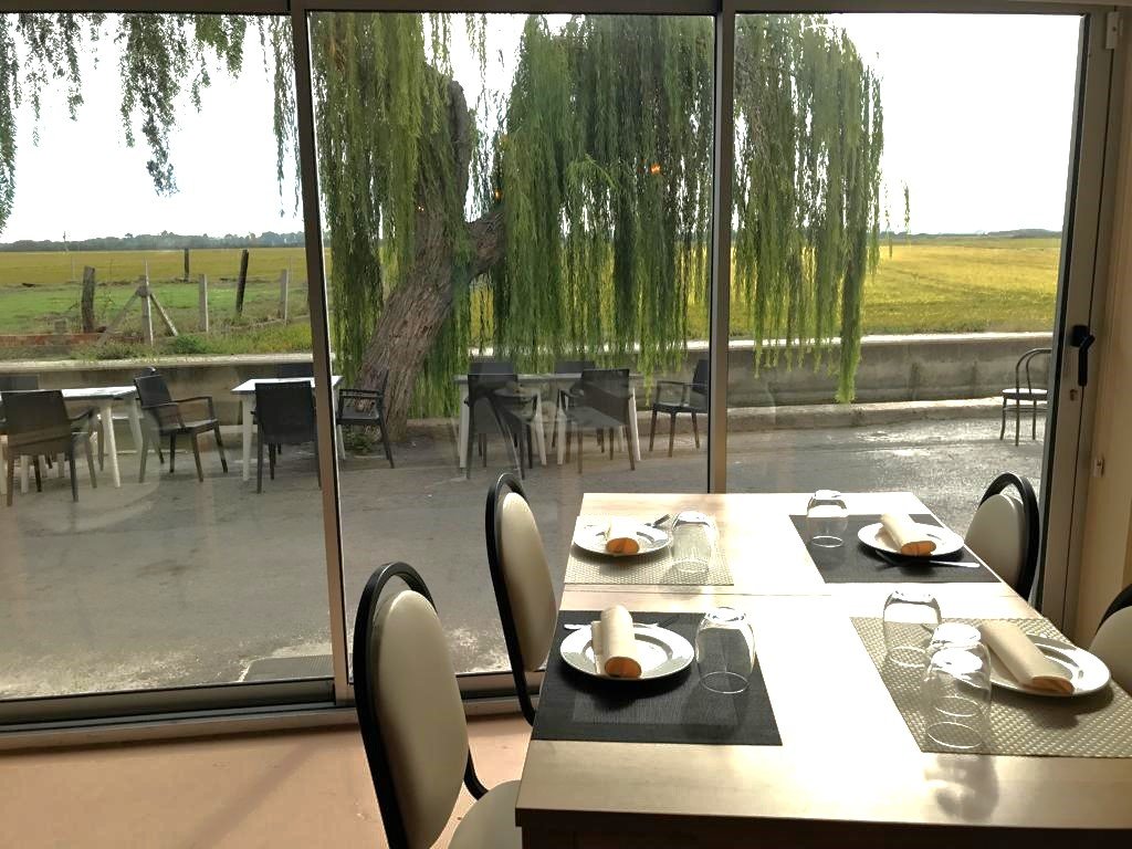 ¿Comer una paella en El Palmar y pasear en barca en L'Albufera por menos de 20 euros? Imagen del interior del Restaurante Albufera de paellas en Valencia
