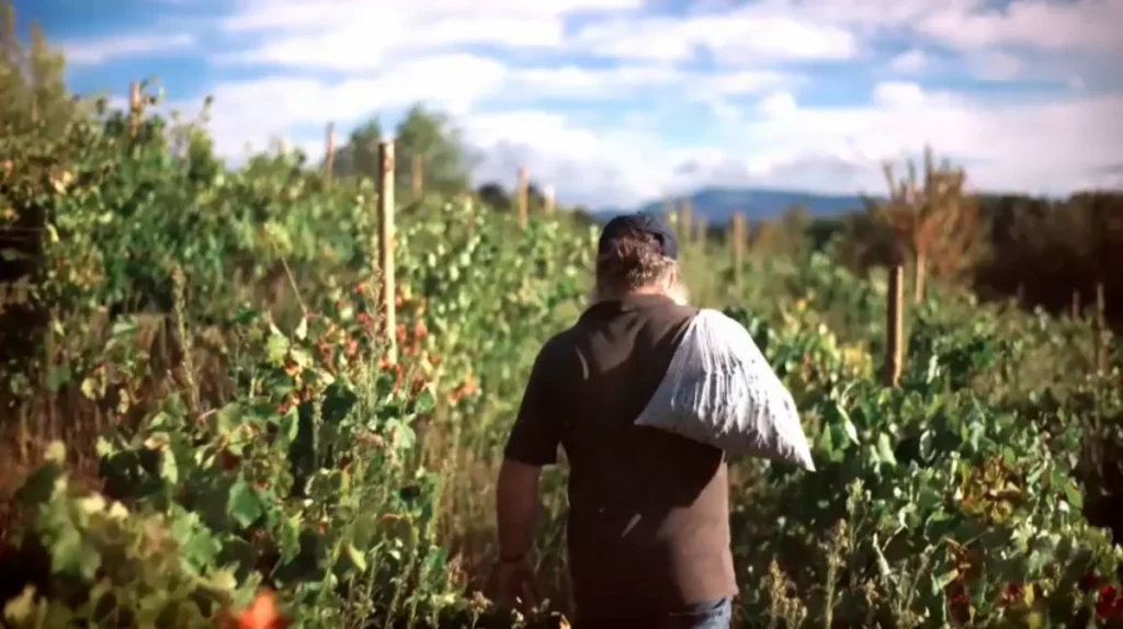 De un pueblo de 70 vecinos al cielo de Nueva York: llega el estreno de El mago del vino en Cuatro Imagen que muestra a Raúl Pérez, el mago del vino, en uno de los viñedos.