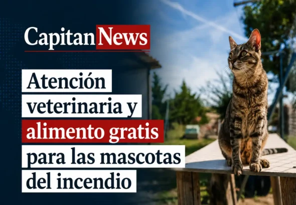 Madrid ofrece asistencia veterinaria gratuita a los animales afectados por los incendios de la Sierra Oeste