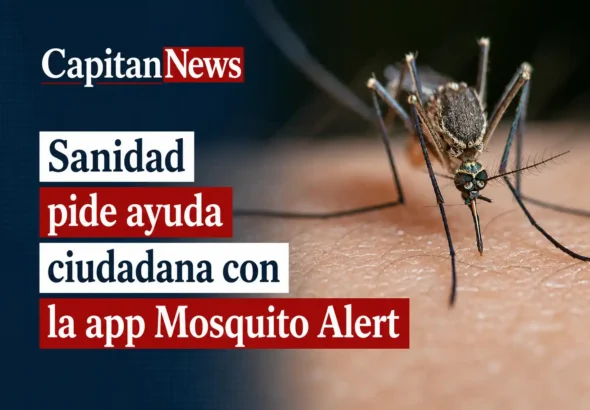 La app Mosquito Alert de Sanidad sirve para avisar de las picaduras y especies como muestra el titular de la imagen