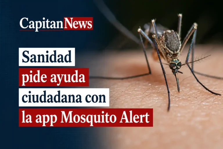 La app Mosquito Alert de Sanidad sirve para avisar de las picaduras y especies como muestra el titular de la imagen