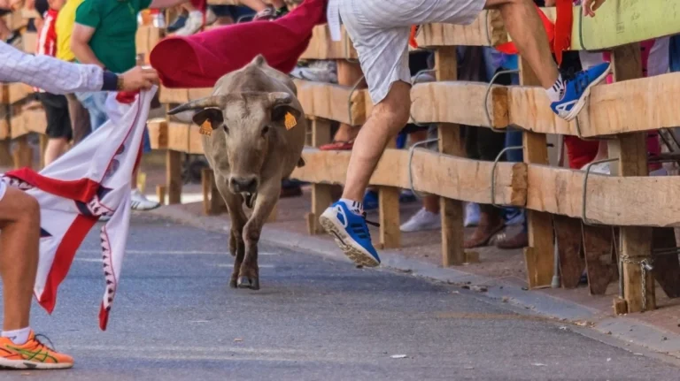 Imagen que muestra uno de los animales de los encierros de San Fermín corriendo hacía la plaza