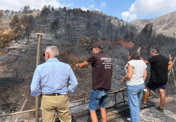 La montaña de la Vall de Uxó después del incendio totalmente quemada con las nuevas ayudas para la recuperación