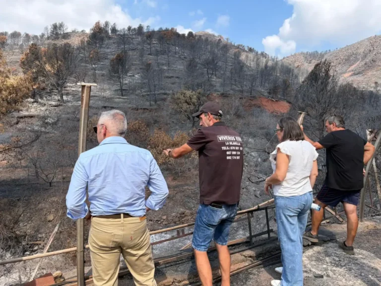 La montaña de la Vall de Uxó después del incendio totalmente quemada con las nuevas ayudas para la recuperación