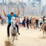 Imagen de les Corregudes de Joies en Pinedo, vAlencia