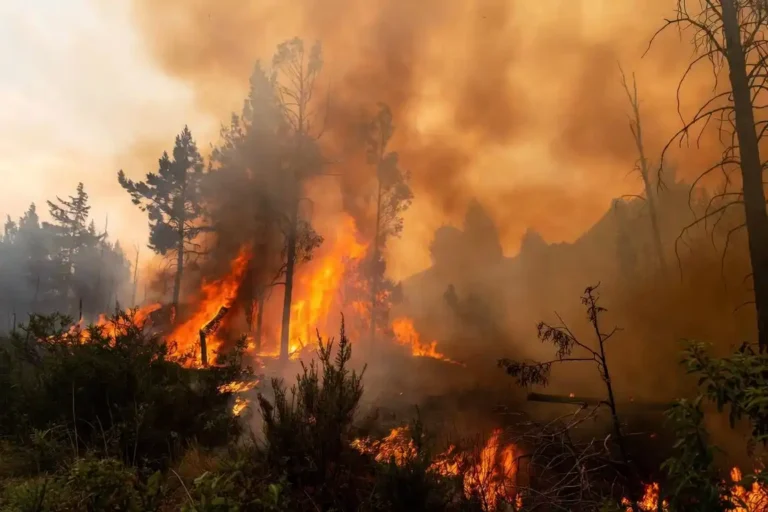 Recreación digital del incendio forestal que hubo en los montes de la Vall de Uxó y la Sierra de Espadán