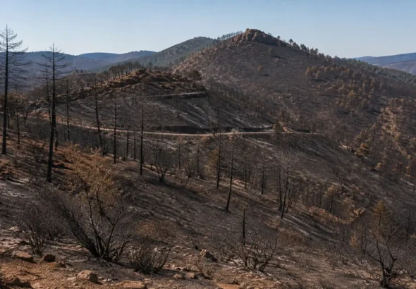 Recreación de La Vall de Uxó y la Sierra de Espadán tras el devastador incendio que empieza a revelar datos importantes. Se aprecia el monte totalmente quemado.