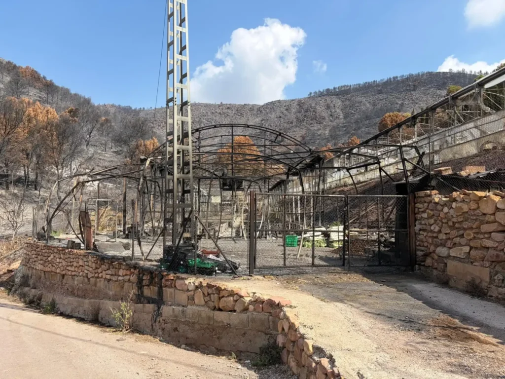 Imagen de los devastadores estados en los que se encuentra la zona de la Vall de Uxó tras los incendios