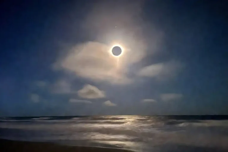 En el eclipse solar en Valencia se activará un plan de limpieza masivo