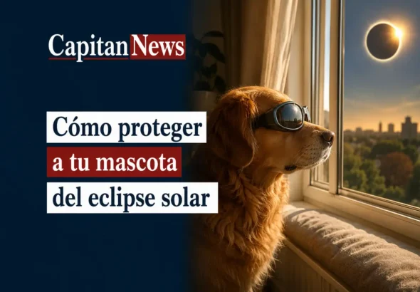 El eclipse solar del 12 de agosto de España y Valencia pueden confundir a tu mascota, así puedes cuidar de ellos como muestra el titular de la imagen