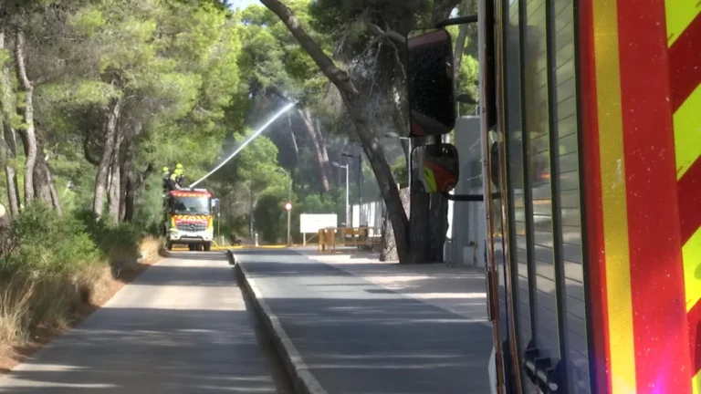 Incendio de El Saler con los medios de extinción trabajando en la Devesa