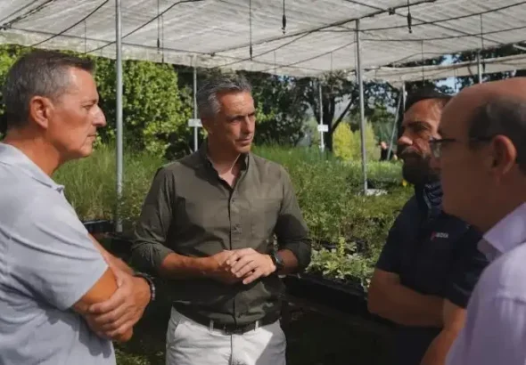 Plantas forestales autóctonas en un vivero de la Comunidad de Madrid