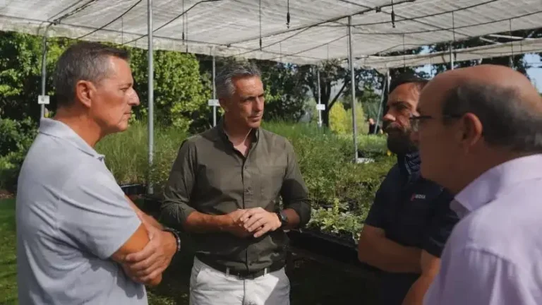 Plantas forestales autóctonas en un vivero de la Comunidad de Madrid